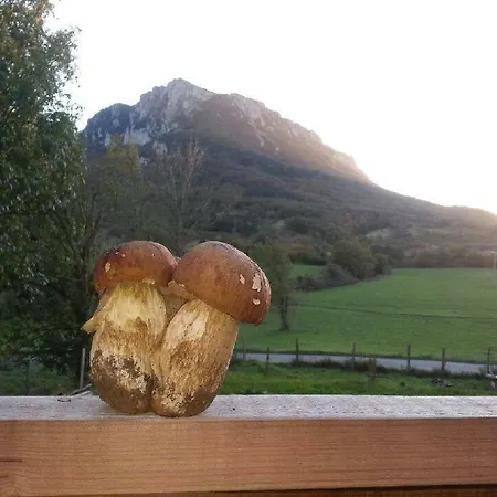 De L'aigle *