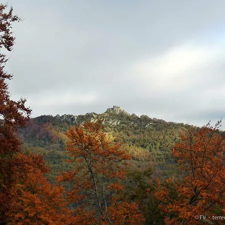 De L'aigle